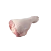 ساق بوقلمون