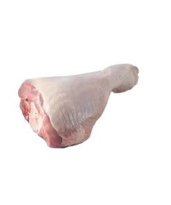 ساق بوقلمون